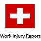 Work Injury Report